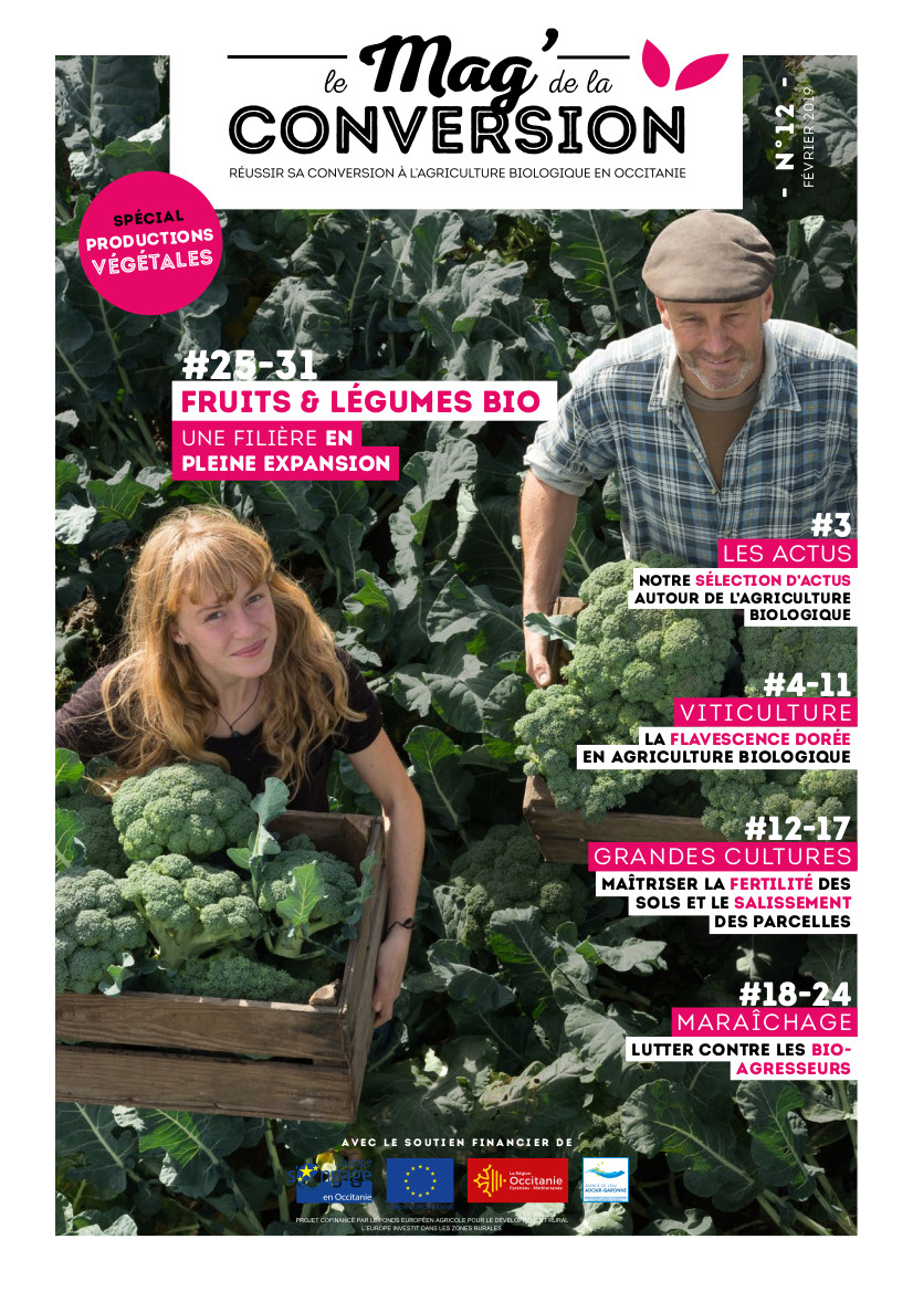 Mag de la Conversion 12